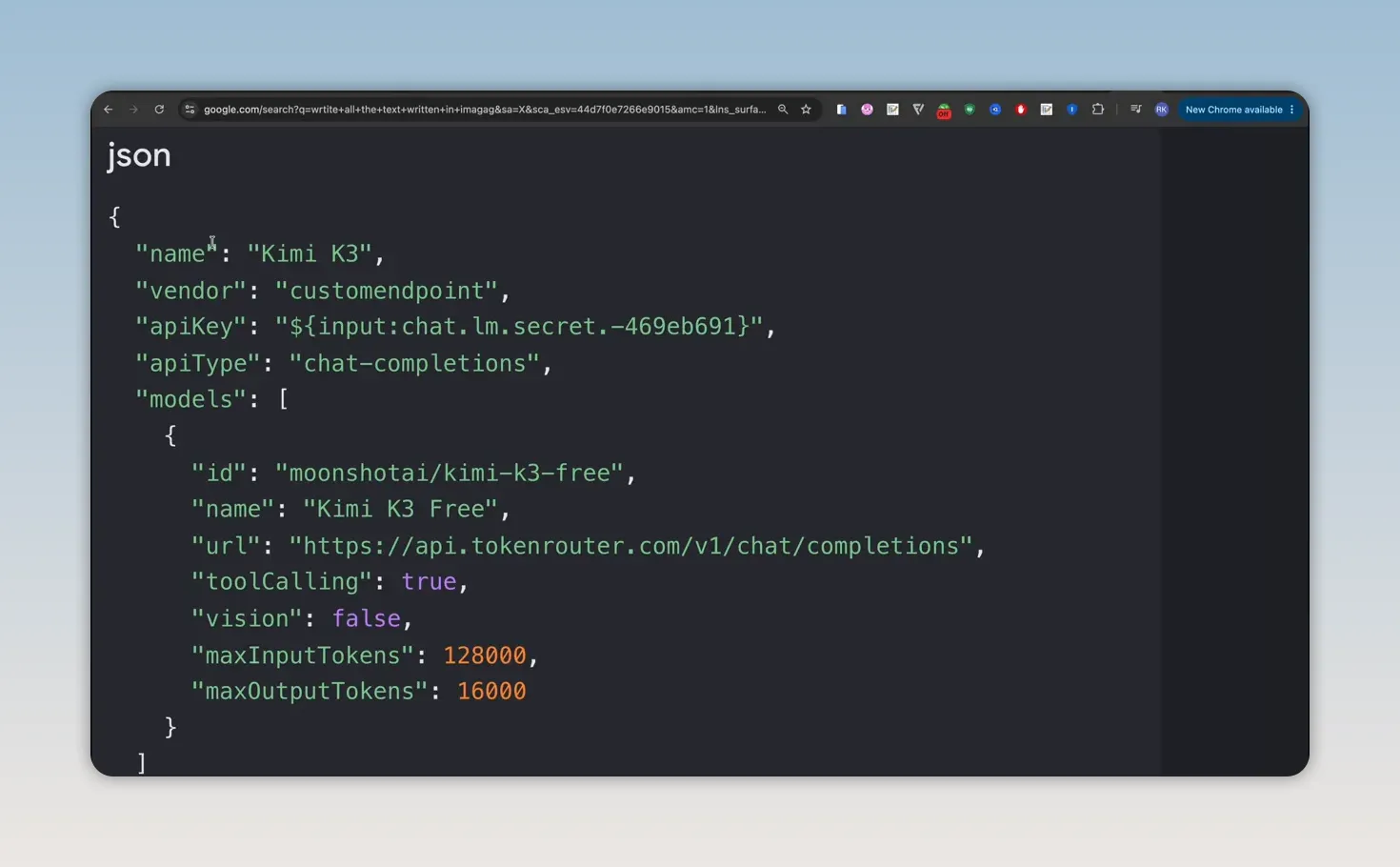 JSON custom endpoint configuration showing model settings and vision set to false